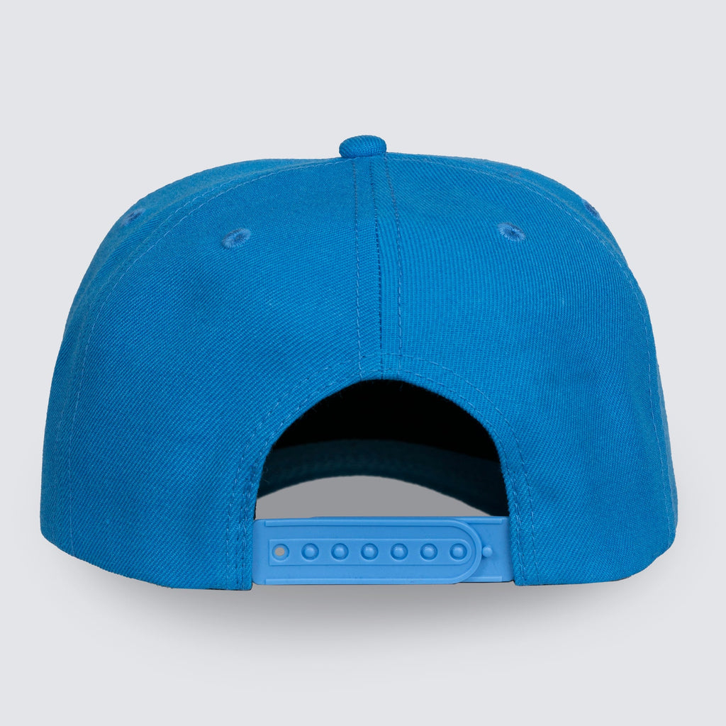 Pleasures - Records snapback