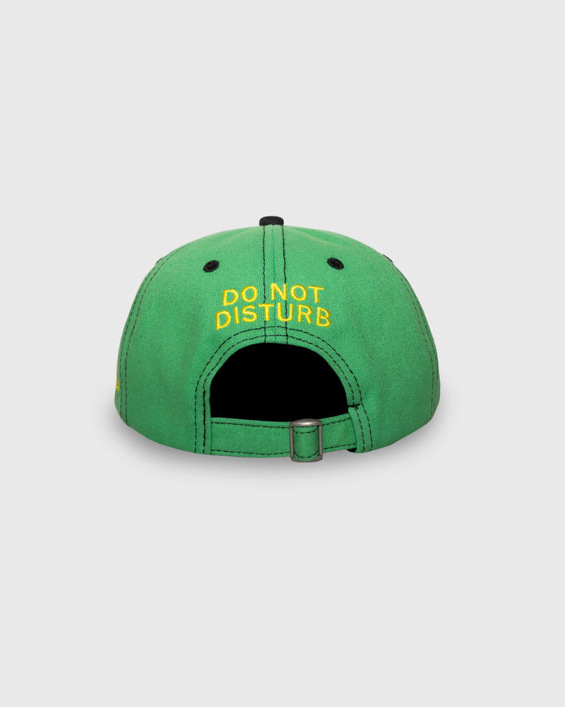 Pleasures - Disturb Cap , green