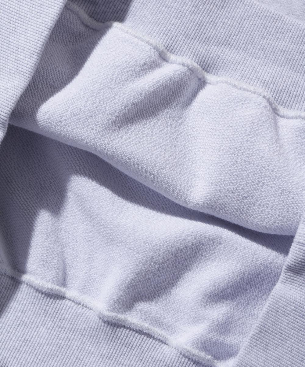 Xlarge - Arch Logo hoodie, Grey