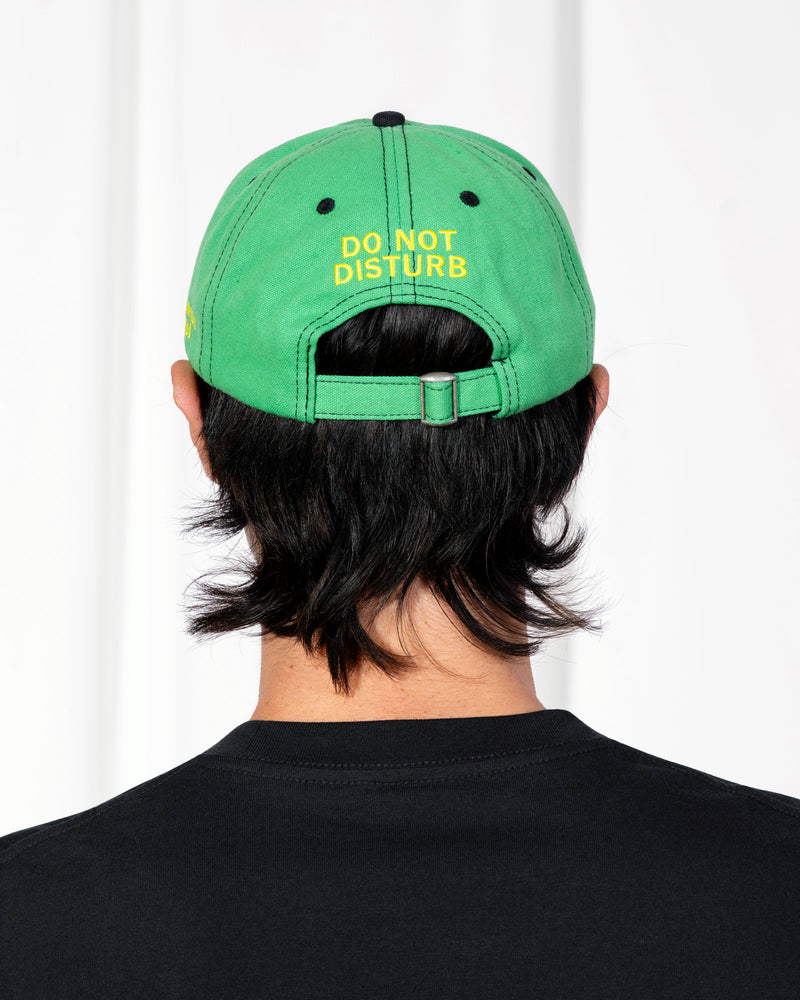 Pleasures - Disturb Cap , green