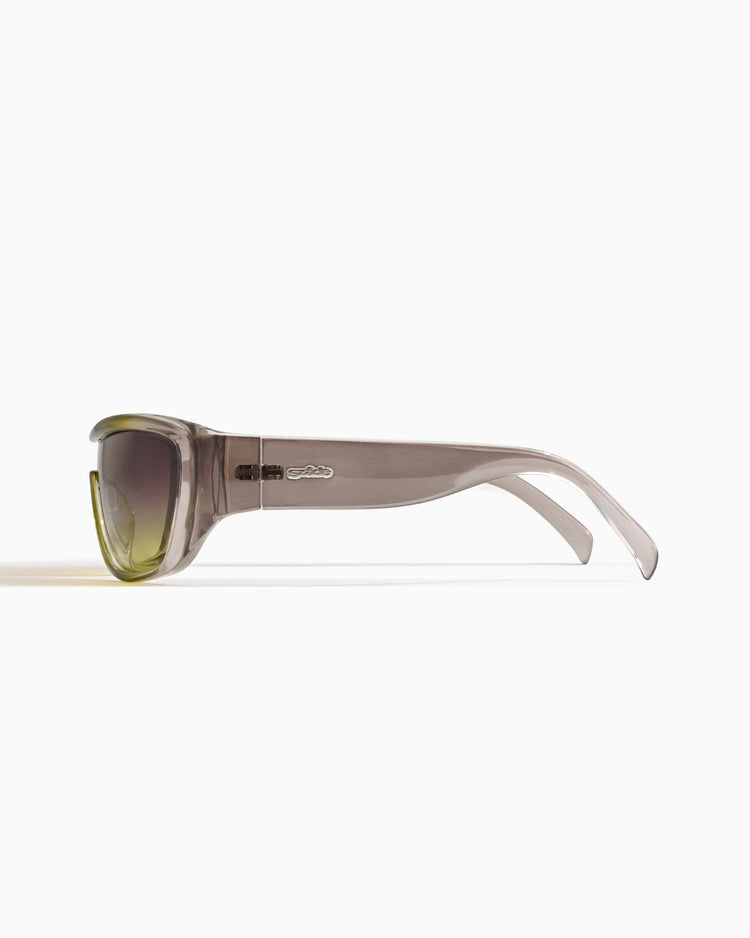Szade ; lexen ; fern / chameleon polarised