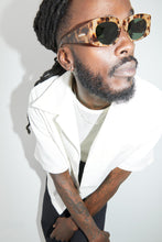 Load image into Gallery viewer, Szade ; Cave coquina / moss polarised
