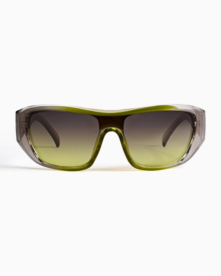 Szade ; lexen ; fern / chameleon polarised