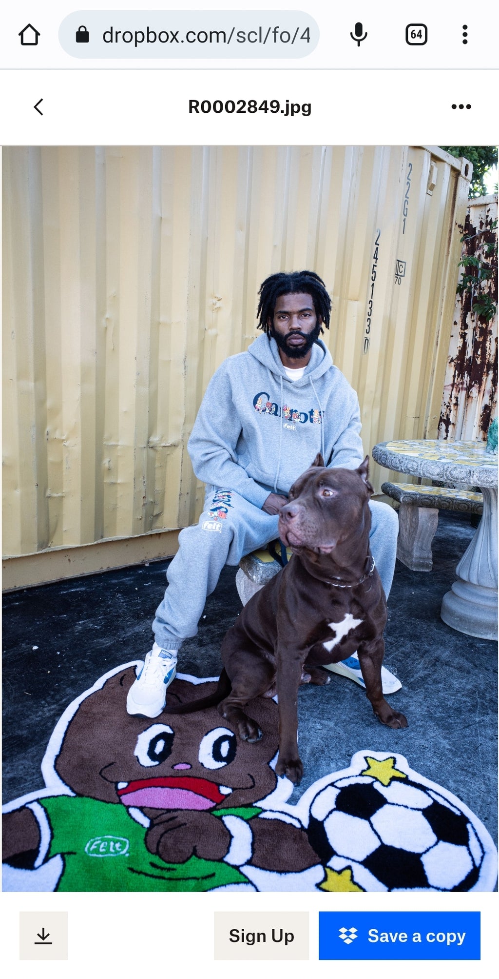 Felt x Carrots ; Wordmark sweatpants , grey
