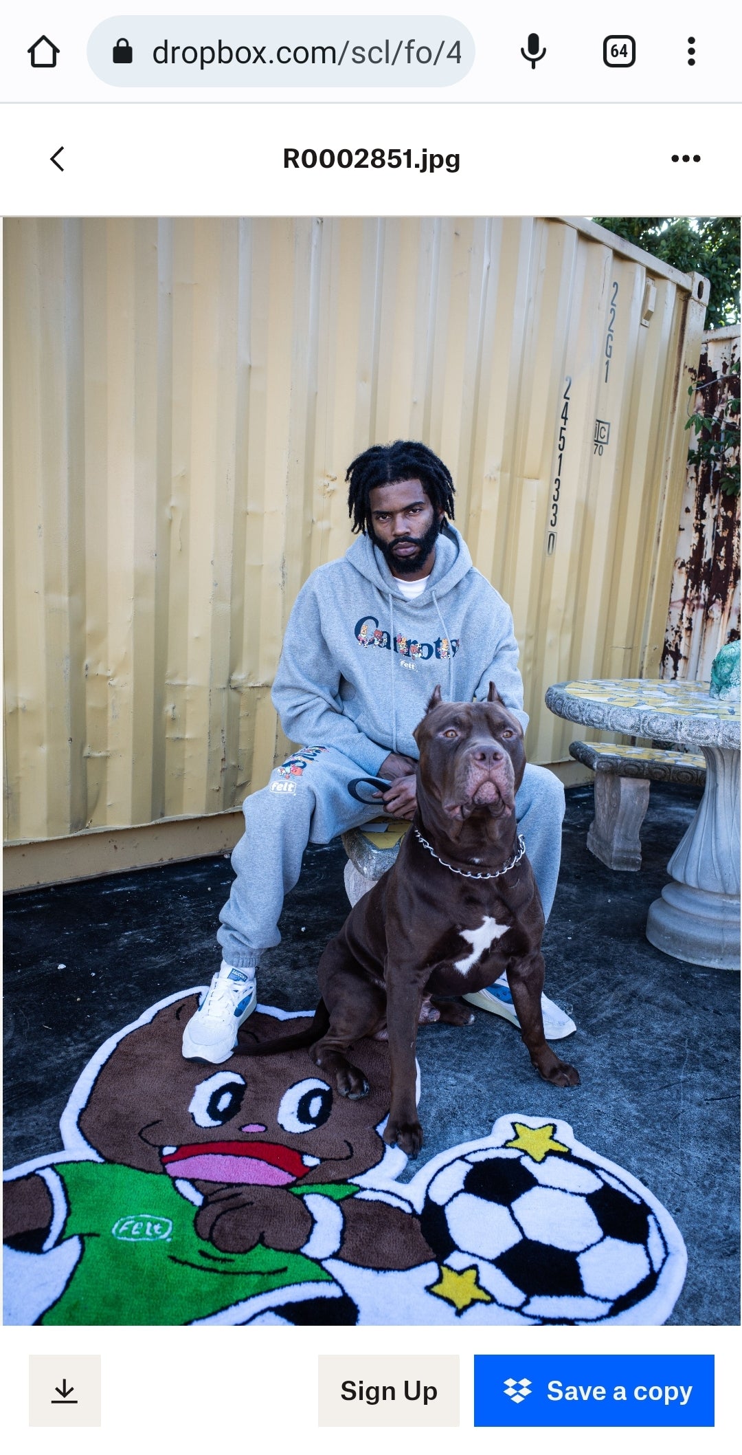 Felt x Carrots ; Wordmark sweatpants , grey